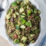 2014-07-01-Lentil-Salad-1