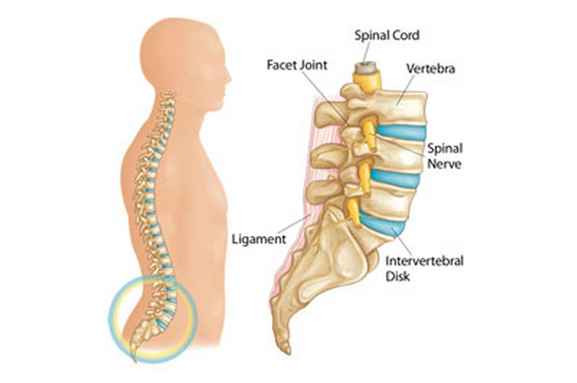 AskAnn-LowBackPain