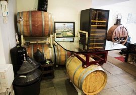 Winery in a NYC apartment