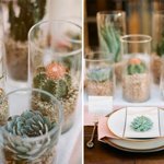 Cactus jar centerpieces