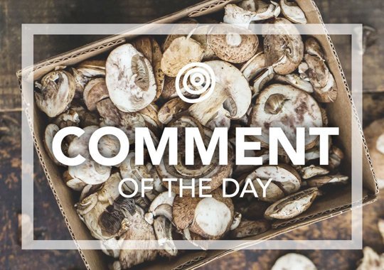 Mushrooms - Comment of the Day