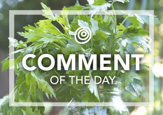 Italian Parsley - Comment of the Day