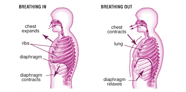 connectionbreath-breathing-in-out-640