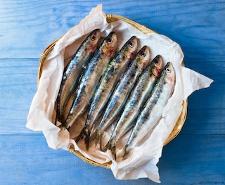 sardines