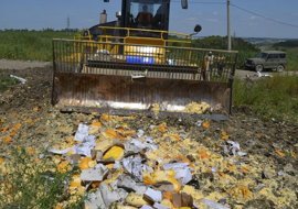 Bulldozer destroying cheese