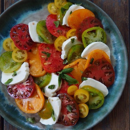 Tomatoes and cheese on a pretty plate