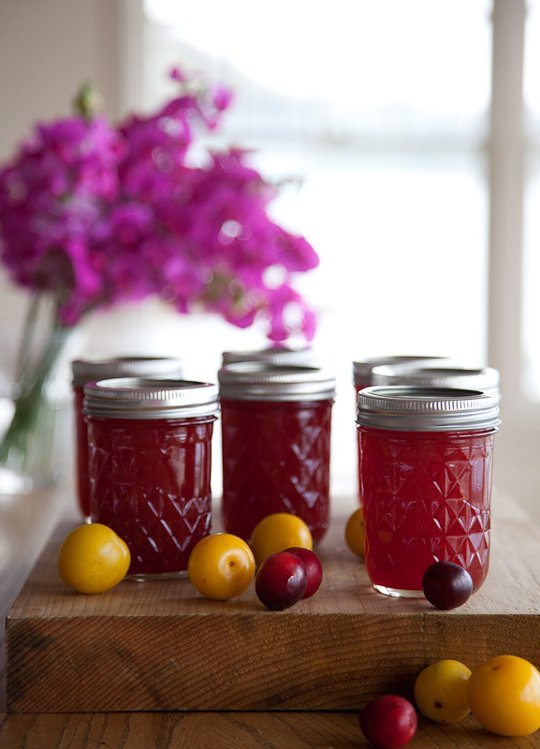 Recipe: Wild Plum Jam