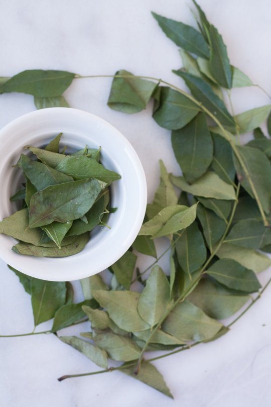 Fresh curry leaves