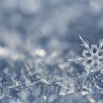 snowflake-shutterstock_225171733-640x427