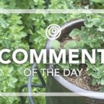 Comment-of-the-Day-Herbs