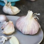 amp_garlic_01_IMG_9487