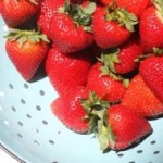 amp_strawberries_01_IMG_9476