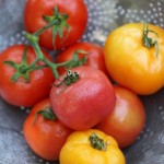 amp_tomato_IMG_9541