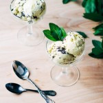 basil-and-mint-chocolate-chip-ice-cream021