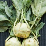 07-2014 Kohlrabi2