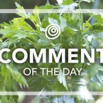 Parsley-Comment