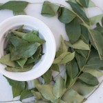 Curry Leaves-1