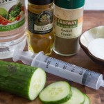 tip-test-syringe-pickles1